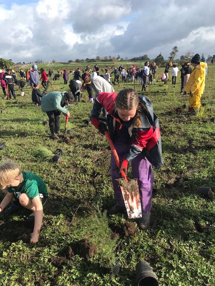 Arbor Day Community Planting at Waiwhakareke